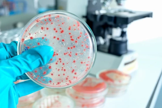 microbiologie en laboratoire