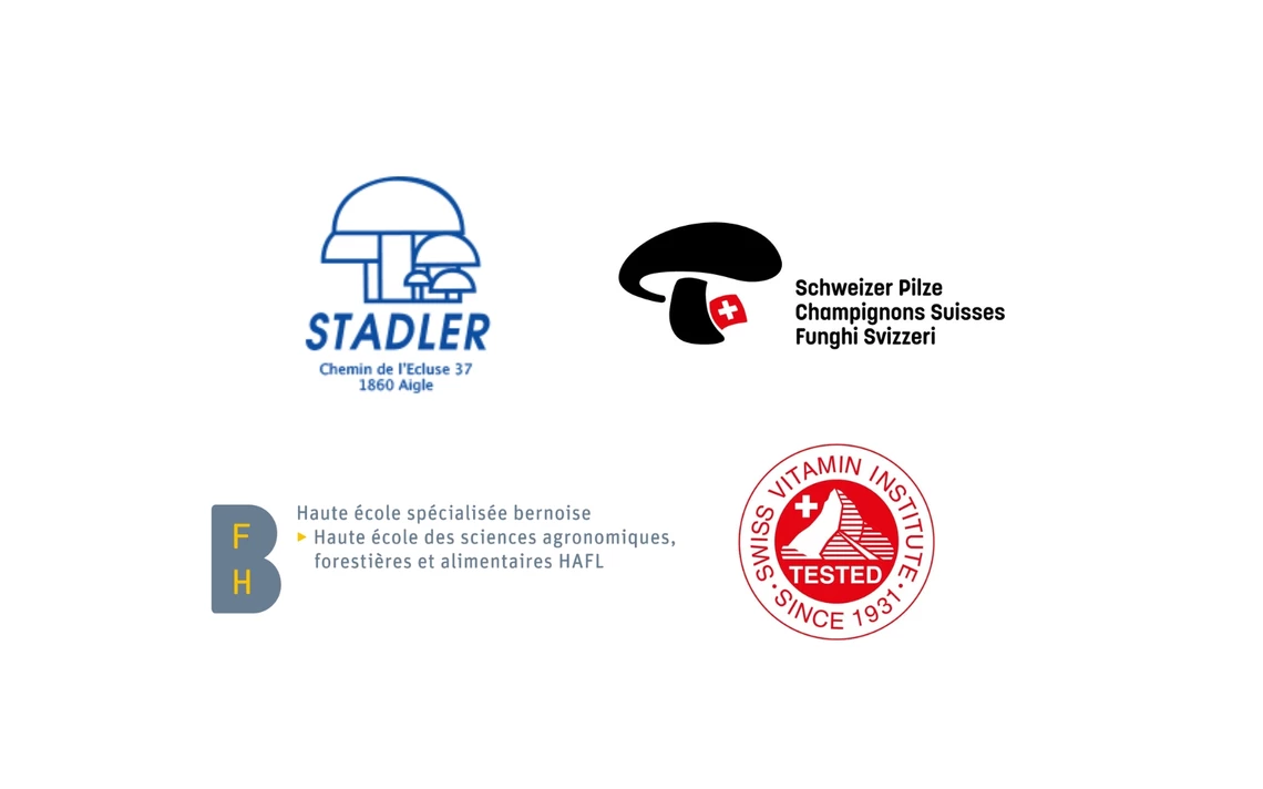logo partenaires
