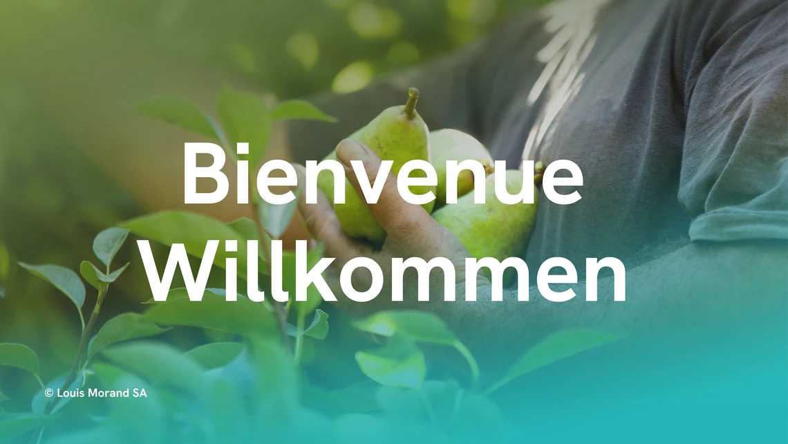 Bienvenue-Willkommen