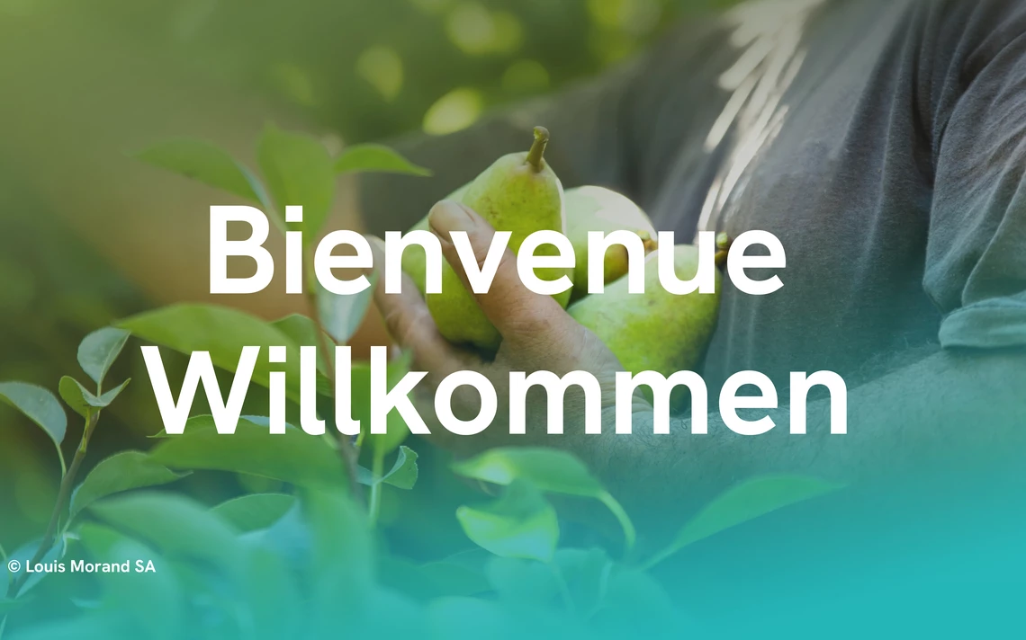 Bienvenue-Willkommen