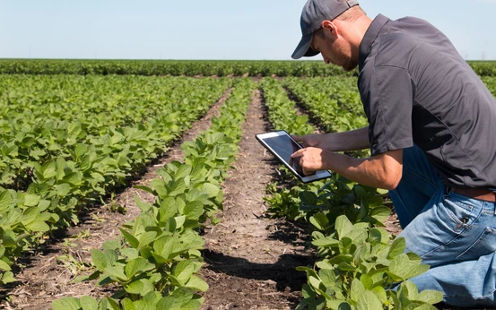 Contrôle ipad dans un champs