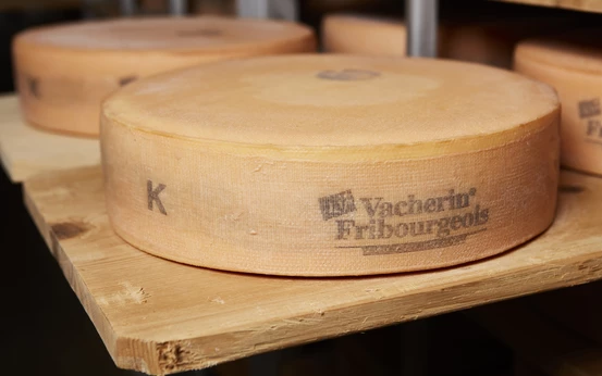 Vacherin fribourgeois