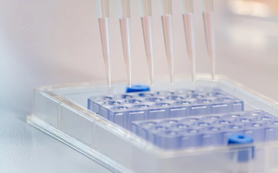 Image laboratoire