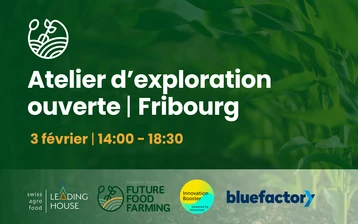 Atelier d'exploration ouverte à Fribourg