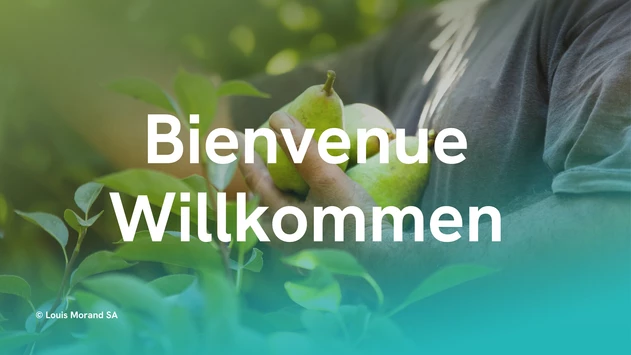 Bienvenue-Willkommen