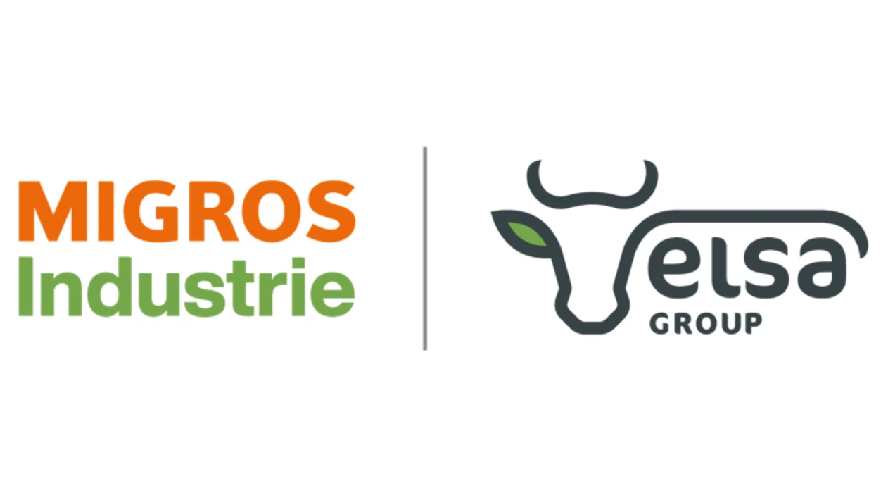 logo Elsa group